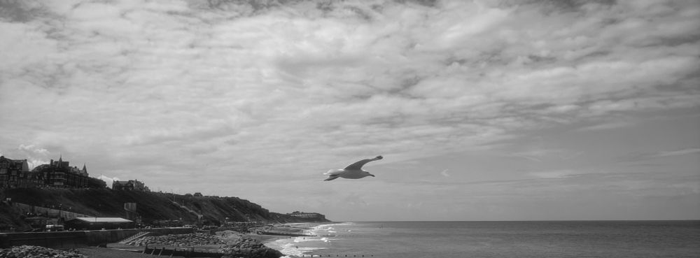 A black and white photo taken from the pier at Cromer, Norfolk showing the shoreline and there’s also a gull mid-flight near the centre of the photo