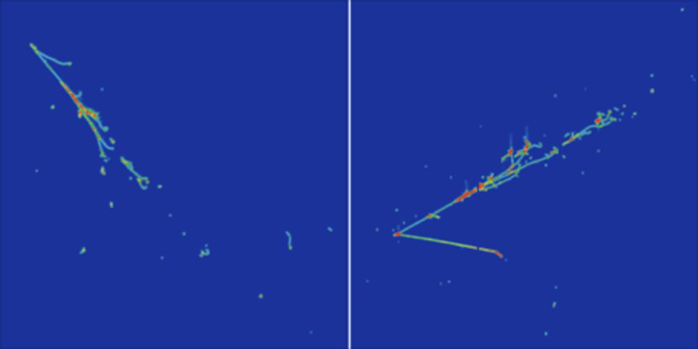 The MicroBooNE experiment’s five-year dataset has shown that an unpredicted neutrino-flavor oscillation is not the cause of anomalous results obtained by its predecessor.