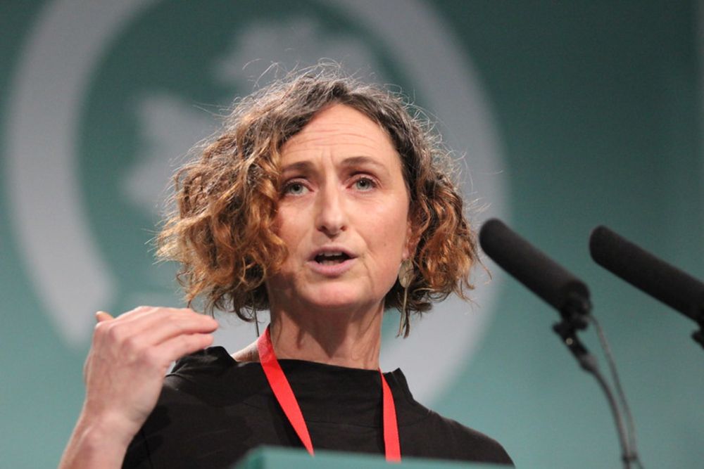 Sinn Féin MEP Lynn Boylan slams European Commission decision to delay Deforestation Regulation by 12 months