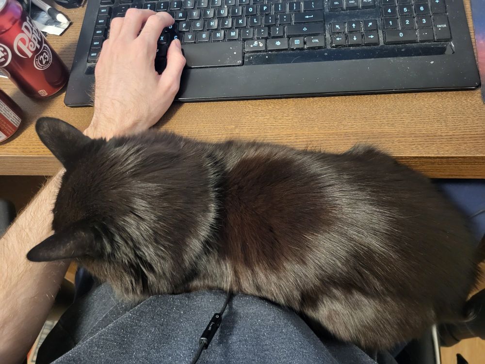 A black cat lying across my lap while I'm playing games at my computer desk
