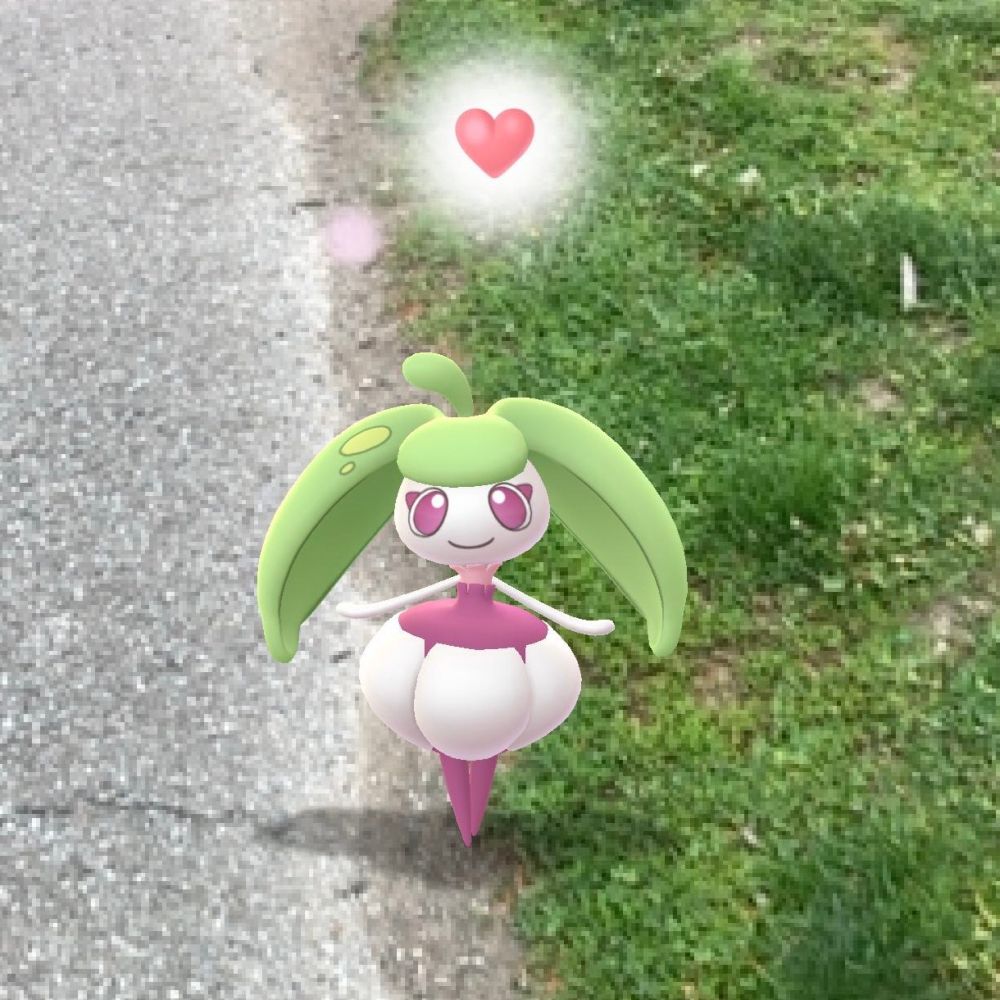 Picture of steenee Pokémon with a small heart floating over its head. 