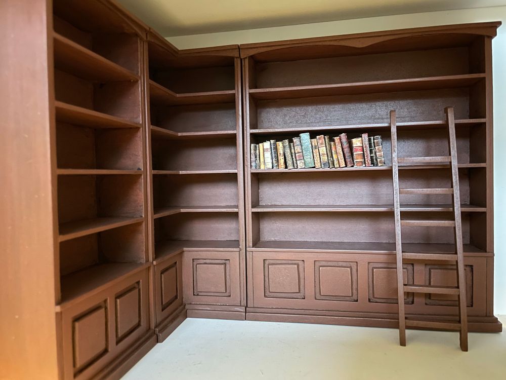 Twenty-one tiny books put in a wooden antique-style floor to ceiling doll’s house bookcase with a ladder. The books don’t even fill a whole shelf and there are another 14 shelves to fill. 