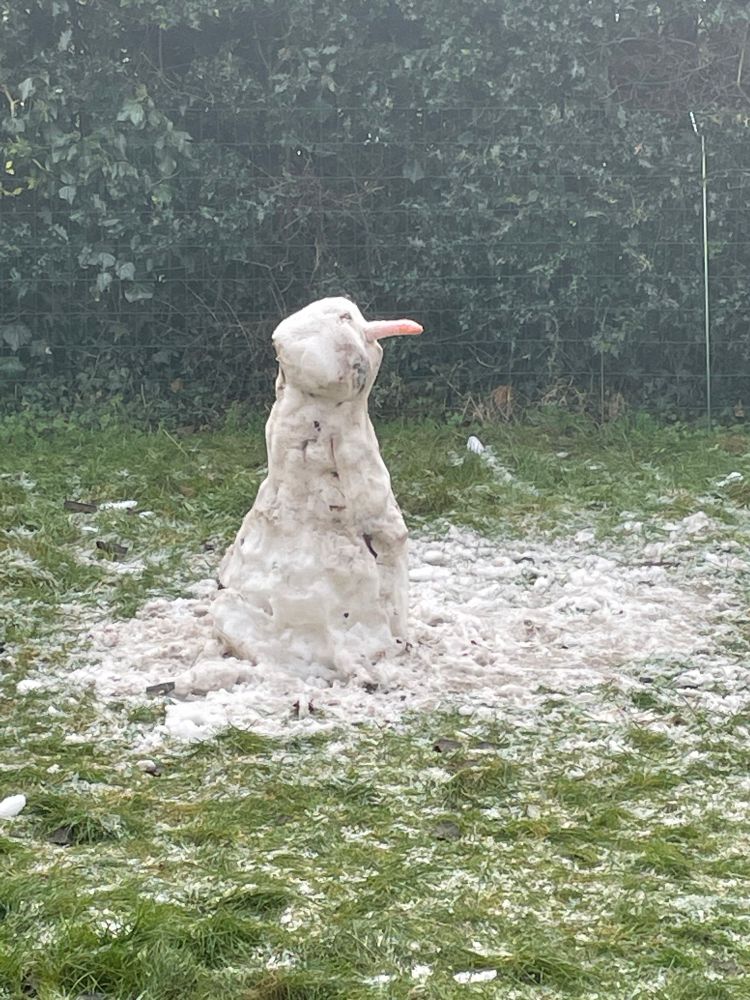 A snowman with a carrot nose. There is snow and frost directly around it, but otherwise the garden is its usual green. 