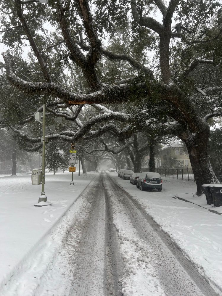 Snow on Carrollton Ave