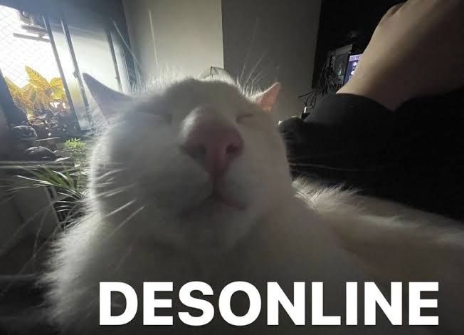 gato branco em close, com fuço rosa, imagem escrito "desonline"