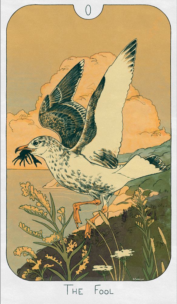 A young herring gull flies off of a cliff with a black crab in its bill. Behind it, tall clouds loom over a now-calm ocean. Seaside goldenrod waves in the foreground. The colors are greens and oranges and have a nostalgic feel to them. 