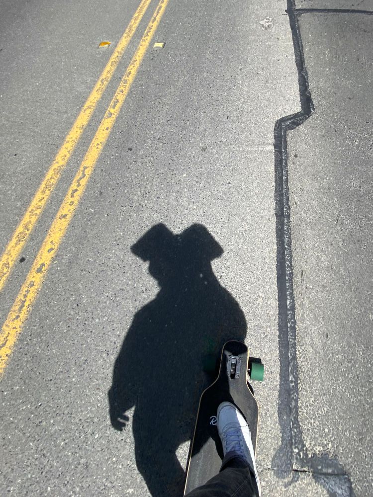 Skating dog 