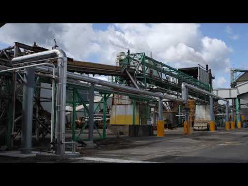 EEA 2021 - Large Energy User - Oji Fibre