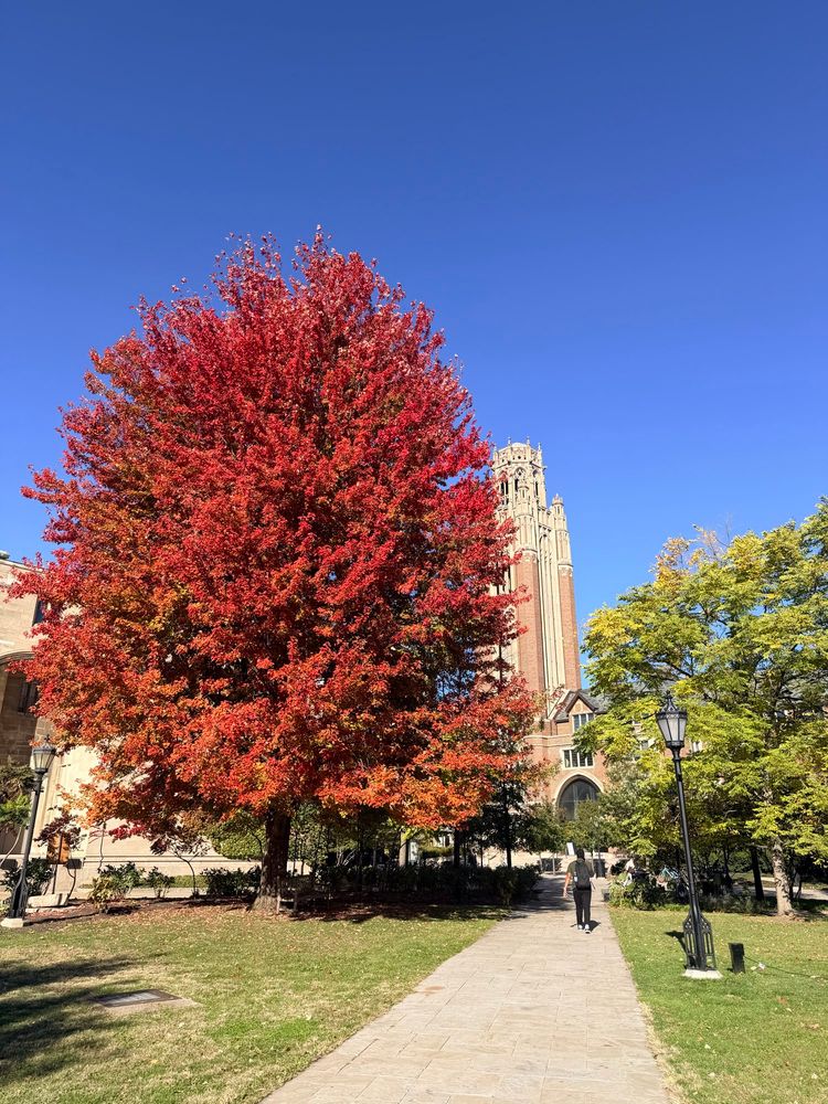 Fall colors, University of Chicago 