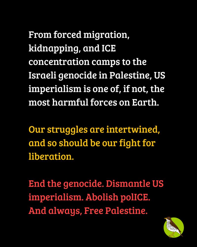 From forced migration, kidnapping, and ICE concentration camps to the Israeli genocide in Palestine, US imperialism is one of, if not, the most harmful forces on Earth. 

Our struggles are intertwined, and so should be our fight for liberation. 

End the genocide. Dismantle US imperialism. Abolish polICE. 
And always, Free Palestine.