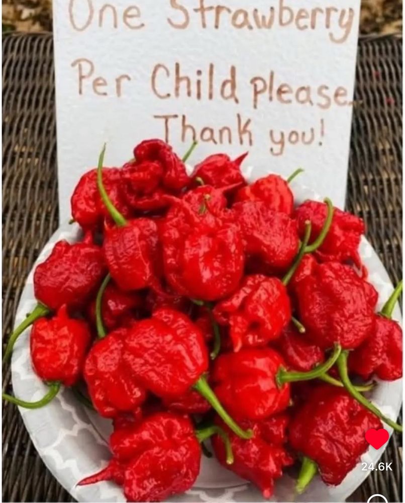 one strawberry per child sign but it’s reaper peppers 