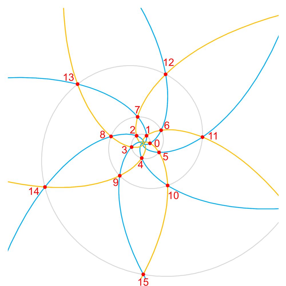 A 6,5 spiral lattice. The gray line is the ontogenic (ontogenetic) spiral. The blue and yellow lines are the parastichies. The red intersections are labeled along the ontogenic spiral. Numbers increase regularly along the parastichies.