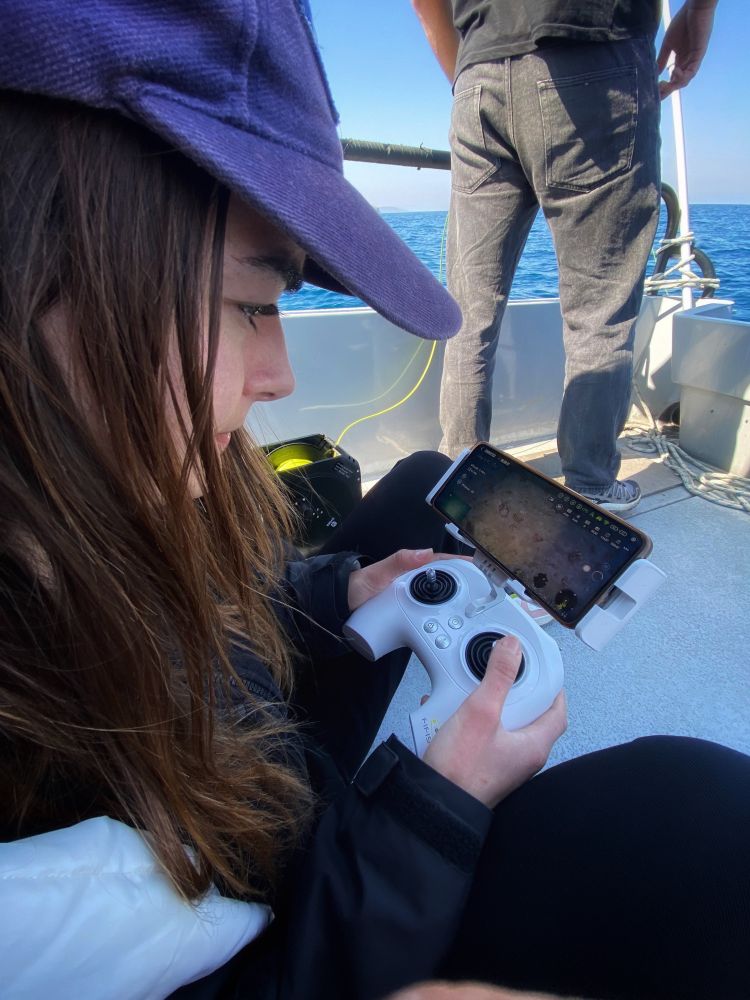 ROV controller