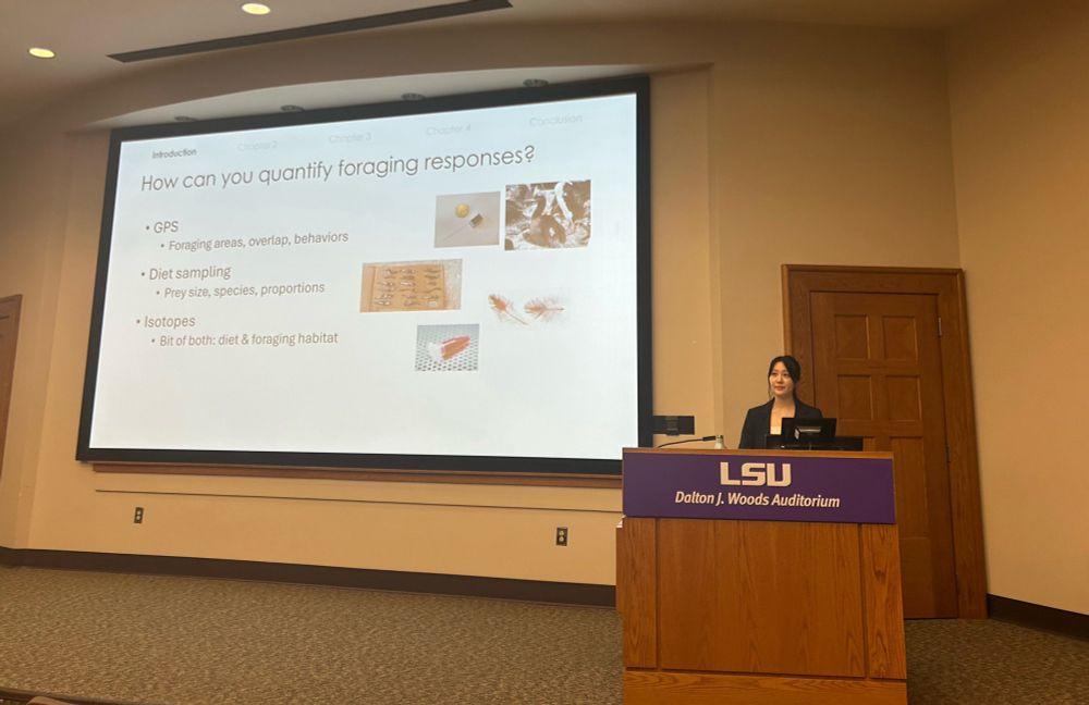 Sara Wang gives a talk summarizing her PhD dissertation research 