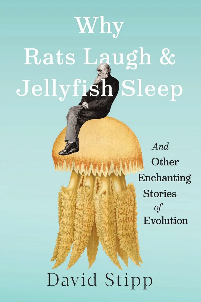 The cover of David Stipp's new book, "Why Rats Laugh & Jellyfish Sleep: And Other Enchanting Stories of Evolution," showing Charles Darwin sitting on a jellyfish.
