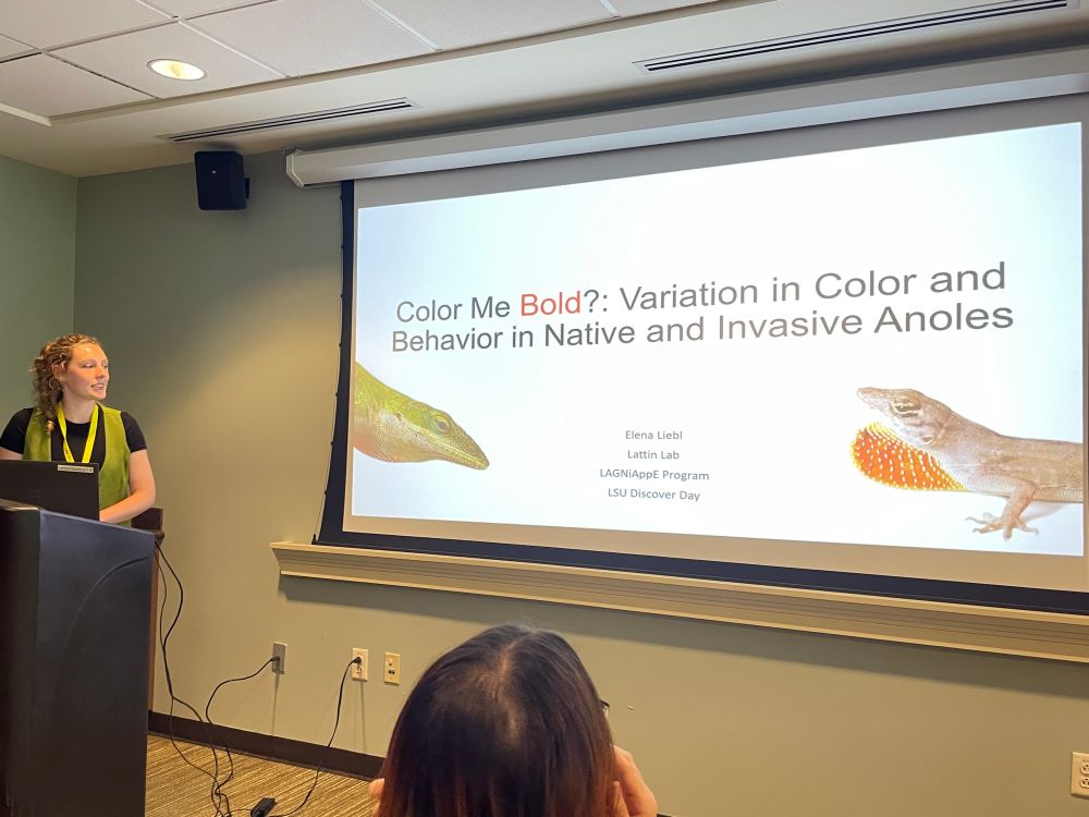 Postbacc scholar Elena Liebl presents research on links between color and behavior in anoles