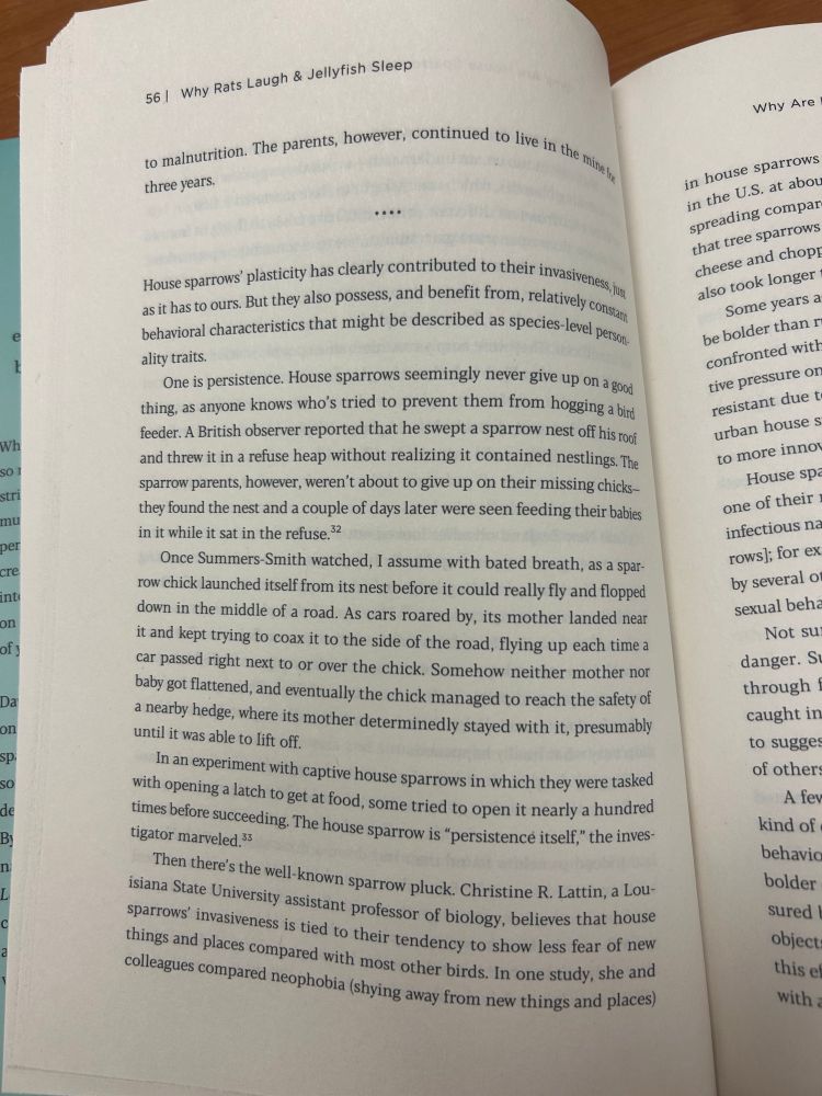 A photo of page 56 of "Why Rats Laugh & Jellyfish Sleep," which references house sparrow and Eurasian tree sparrow research done by the Lattin Lab.