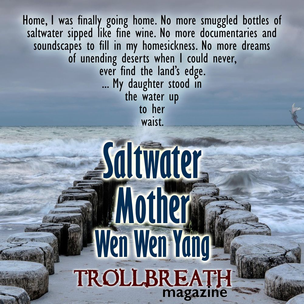 The image is a sandy beach with old wooden struts. Above is a stormy sky.  
Text: Home, I was finally going home. No more smuggled bottles of saltwater  sipped like fine wine. No more documentaries and soundscapes to fill in my  homesickness. No more dreams  
of unending deserts when I could never,  
ever find the land’s edge.  
... My daughter stood in  
the water up  
to her  
waist.  
Saltwater Mother by Wen Wen Yang 
Trollbreath Magazine 