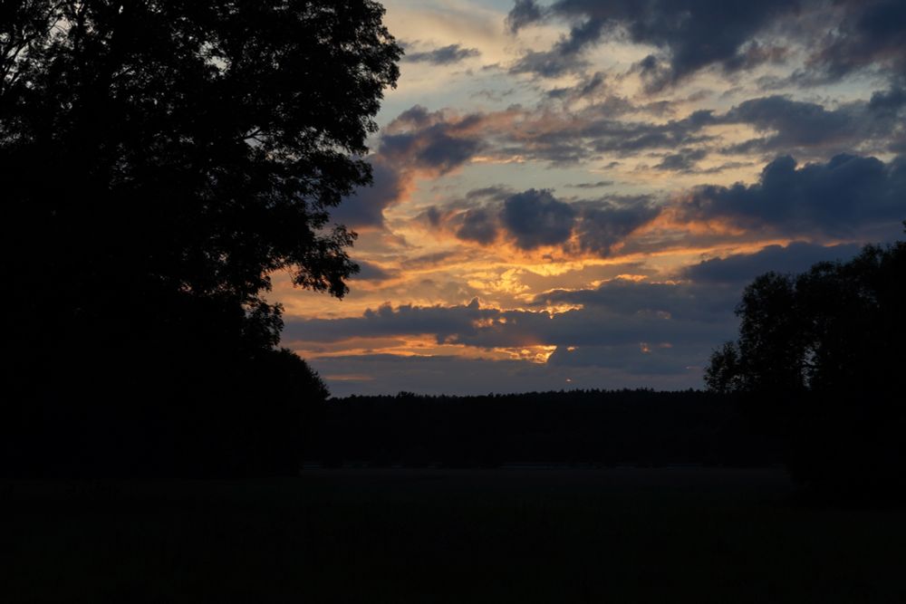 Sonnenuntergang im Wolkenhimmel
im Vordergrund, links und rechts, hohe Bäume 