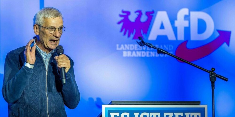 Wahlkampf der AfD Brandenburg: Brandenburgische Stichwerkzeuge