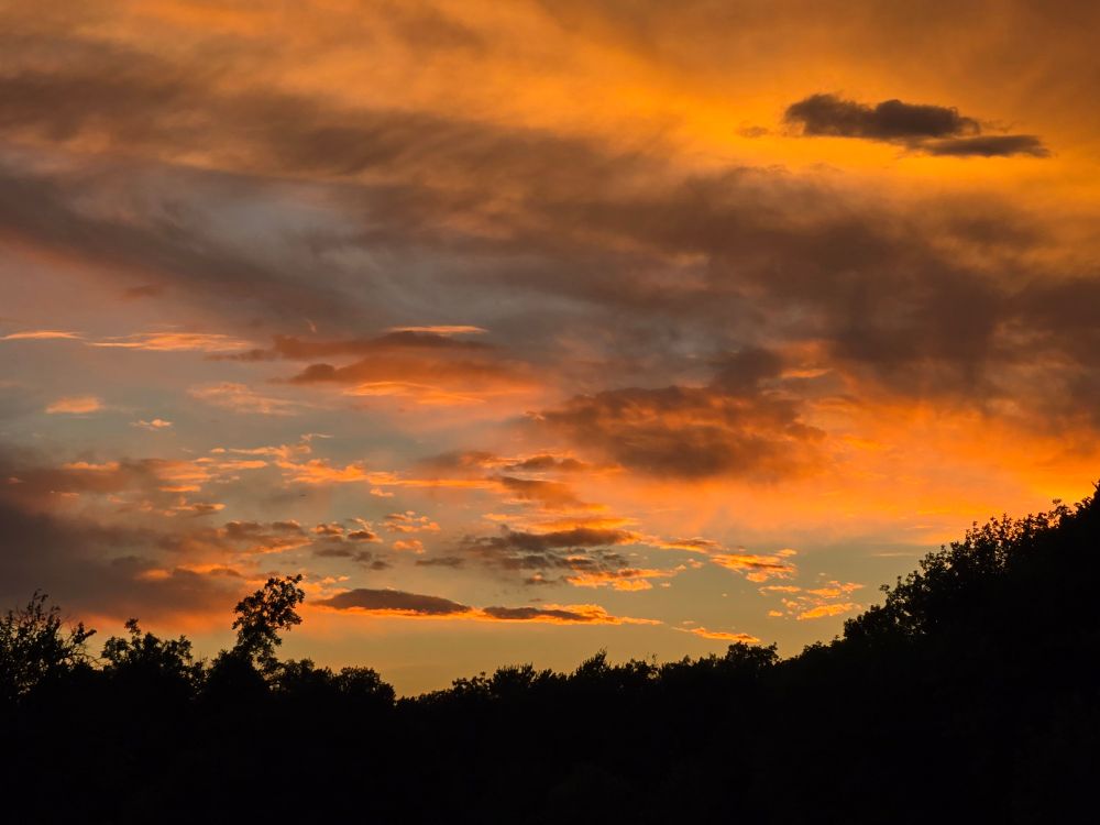 Orange clouds streaking across a blue sky with the silhouettes of trees along the bottom