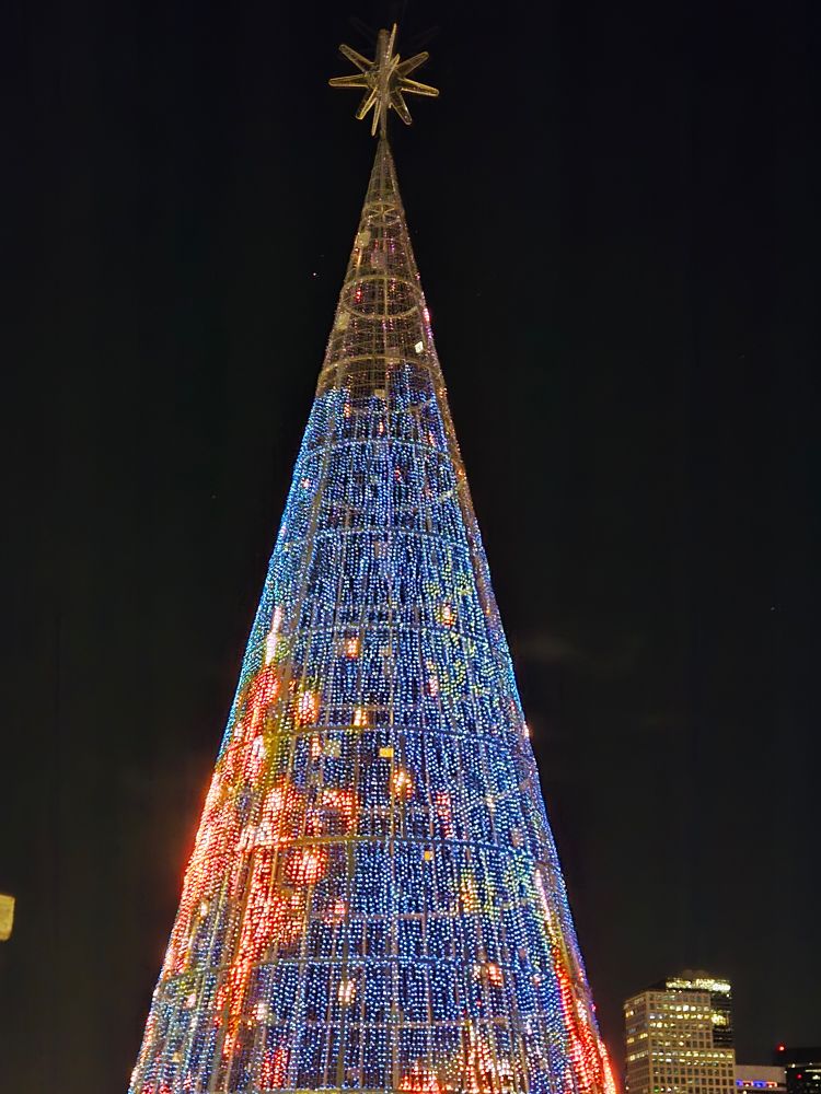 Tree in orange & blue