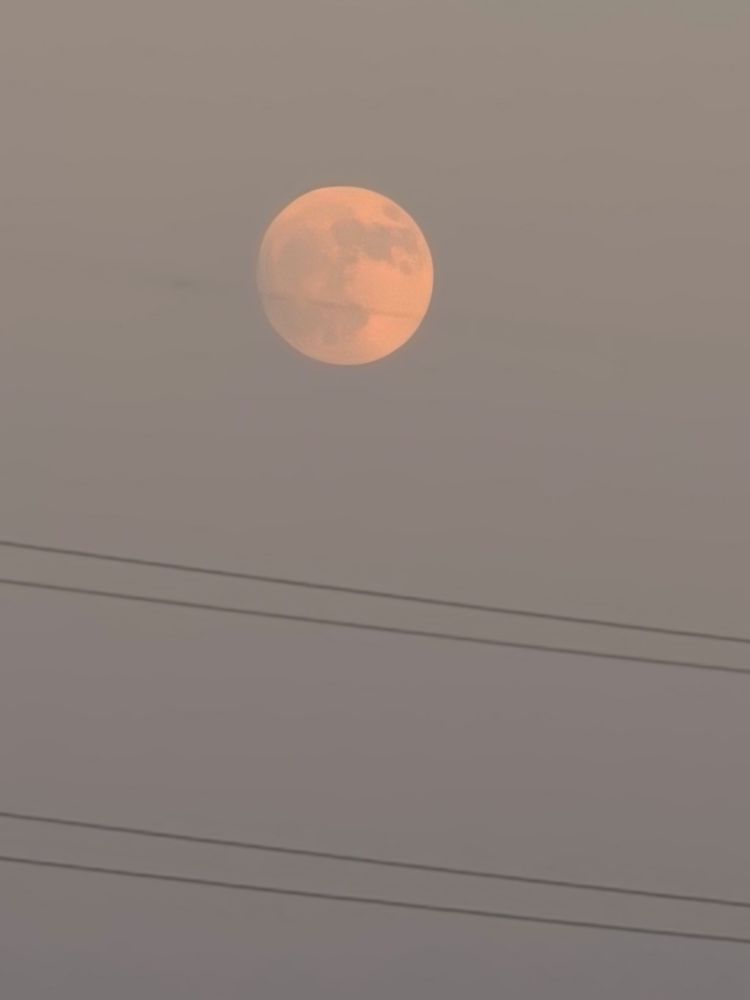 Almost full moon at sunset.