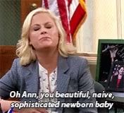 a woman is sitting at a desk in front of an american flag and says oh ann you beautiful naive sophisticated newborn baby