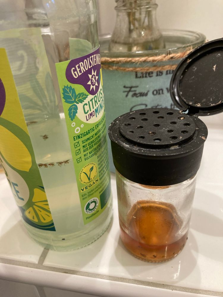 Zitrone-Minze-Flasche und eine Dose mit Löchern und Deckel 