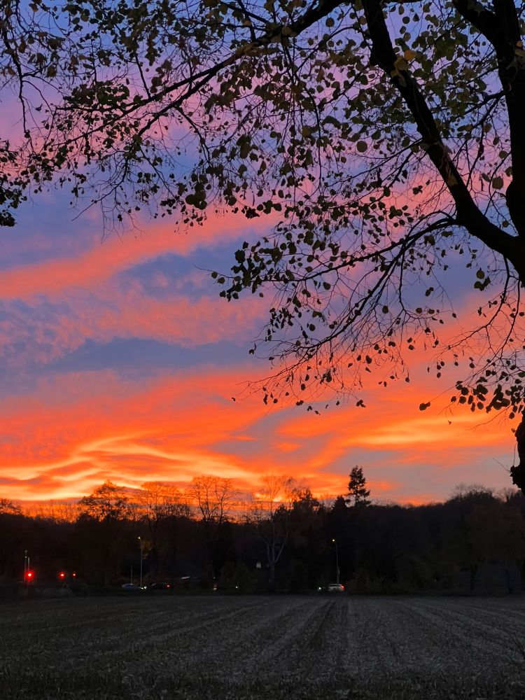 Toller Sonnenuntergang mit vielen roten und orangefarbenen Wolken 