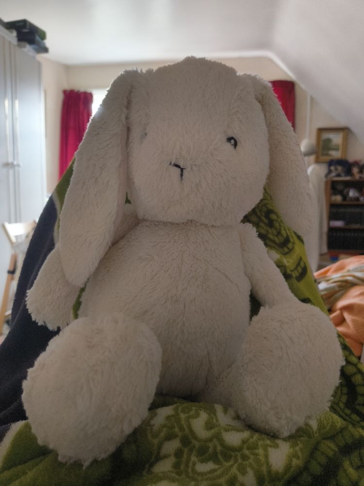 A big, fluffy white rabbit plushie with floppy ears, sitting atop me, her name Lottie