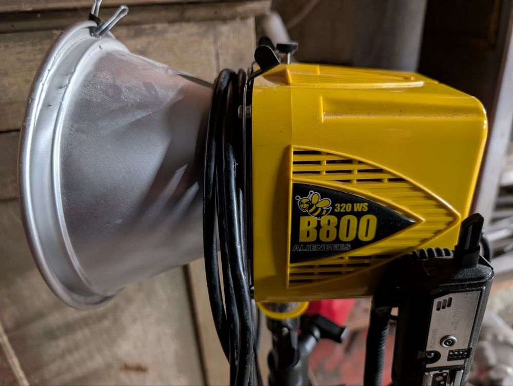 Alien Bees B800 320 watt-second strobe