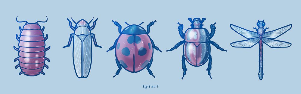 Digital drawing of a row of bugs, from left to right a pill bug, leaf hopper, ladybug, iridescent beetle and a dragonfly.