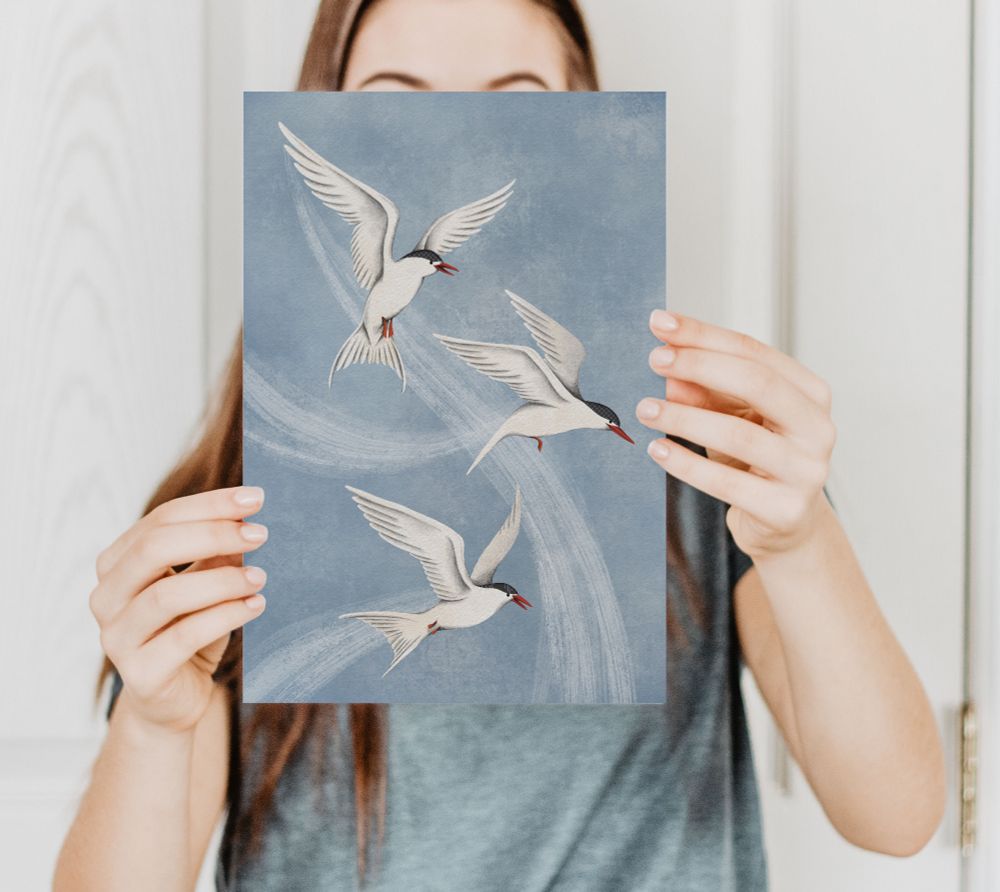 A lady holds an art print up in front of her face. The print shows an illustration of three white birds, Arctic terns, in flight on a blue background.