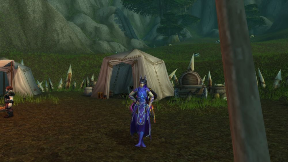 Twin dracthyr sisters, posing back-to-back, in Wetlands while leveling.