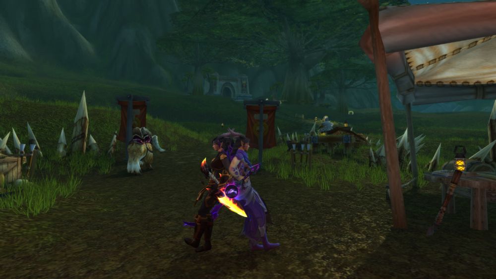Twin dracthyr sisters, posing back-to-back, in Wetlands while leveling.