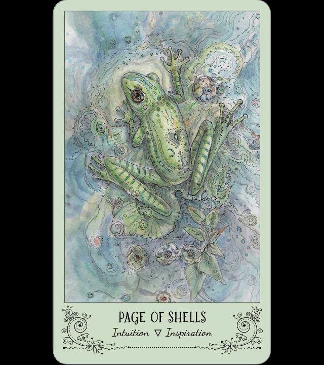 A green tree frog is surrounded by shells and flowers. The words Intuition and Inspiration appear at the bottom of the card below the card title, Page of Shells. 