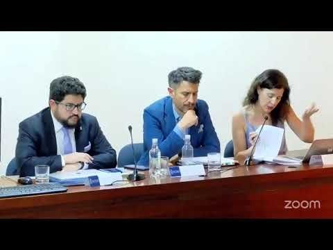 Seminario "El caso Vega González versus Chile"