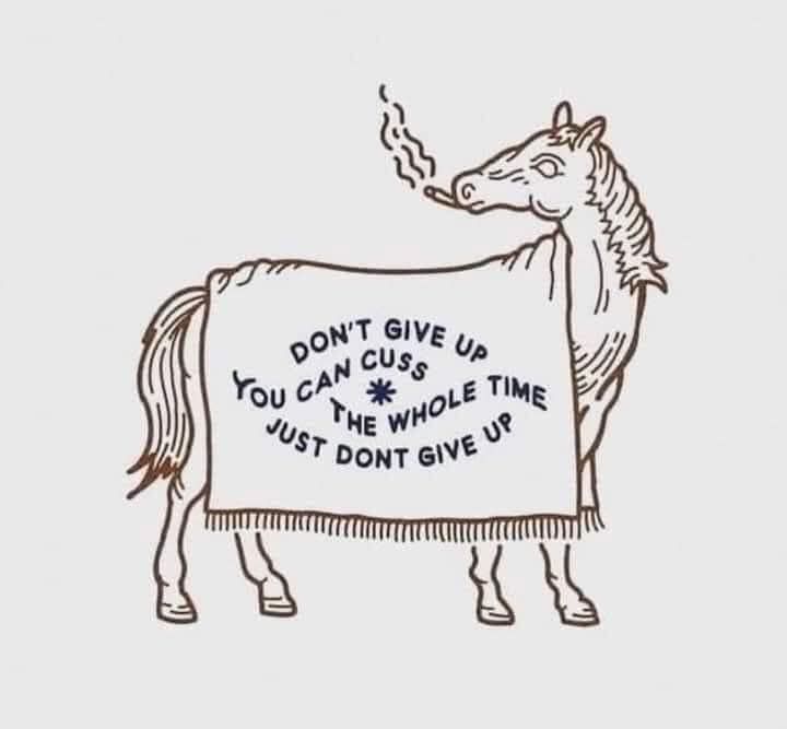 A drawing of a horse, smoking a cigarette, with a blanket over it that reads "Don't give up. You can cuss the whole time, just don't give up."