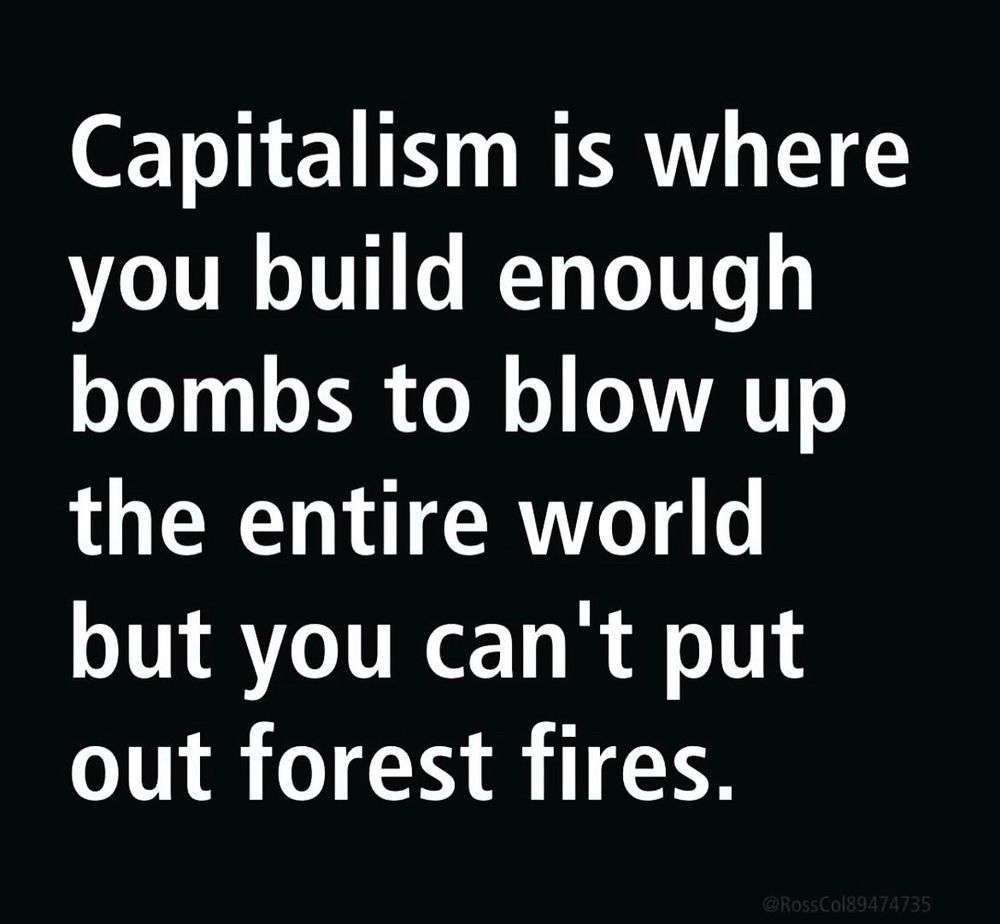 Capitalism is where you build enough bombs to blow up the entire world but you can't put out forest fires.