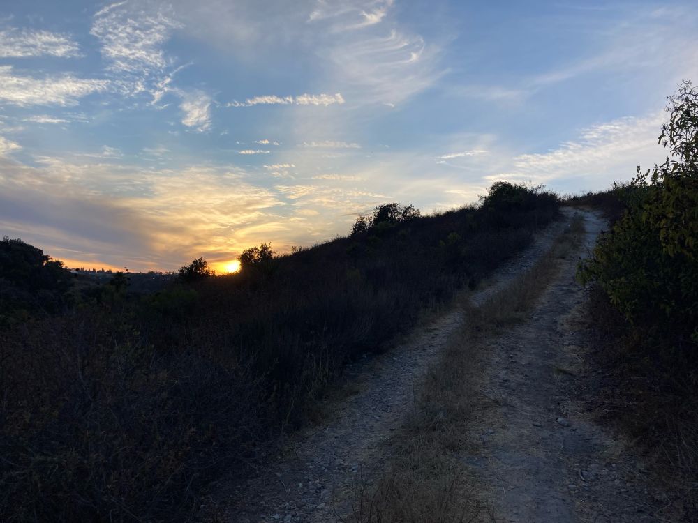 View of the sun setting from a trail