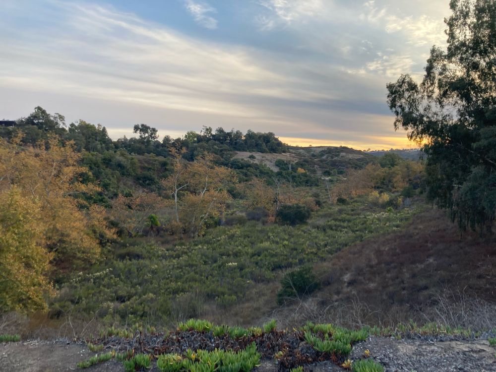 Scenic photo of nature