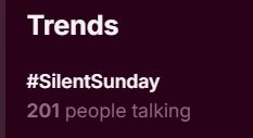 screenshot of top trend on libranet.de is 201 people talking about silent sunday