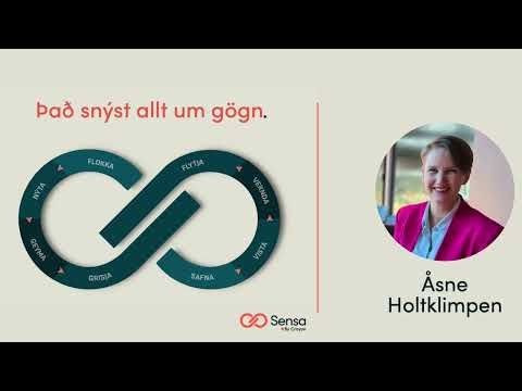 Sensa dagurinn 2025 - Copilot and information security - Åsne Holtklimpen @CrayonIT