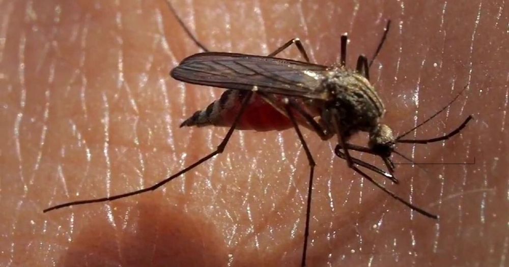 Vanderburgh County has joined the list of local Indiana communities reporting the West Nile virus in mosquitoes.