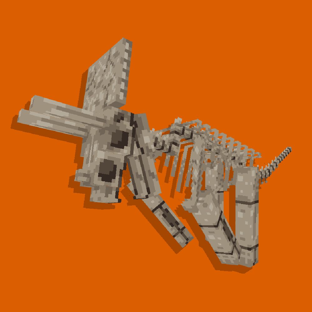 Skeletal of a triceratops.