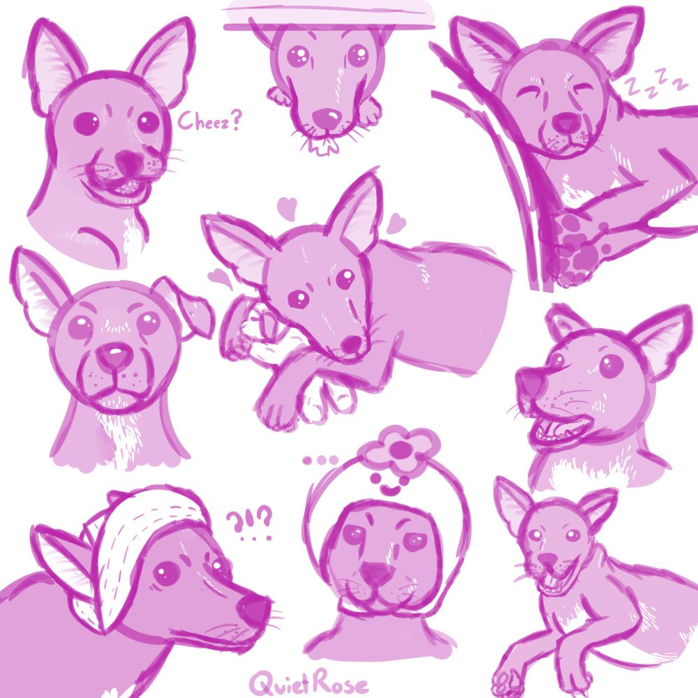 Digital sketches of a black chihuahua mix, laying down, wearing hats, and smiling with a toothy grin