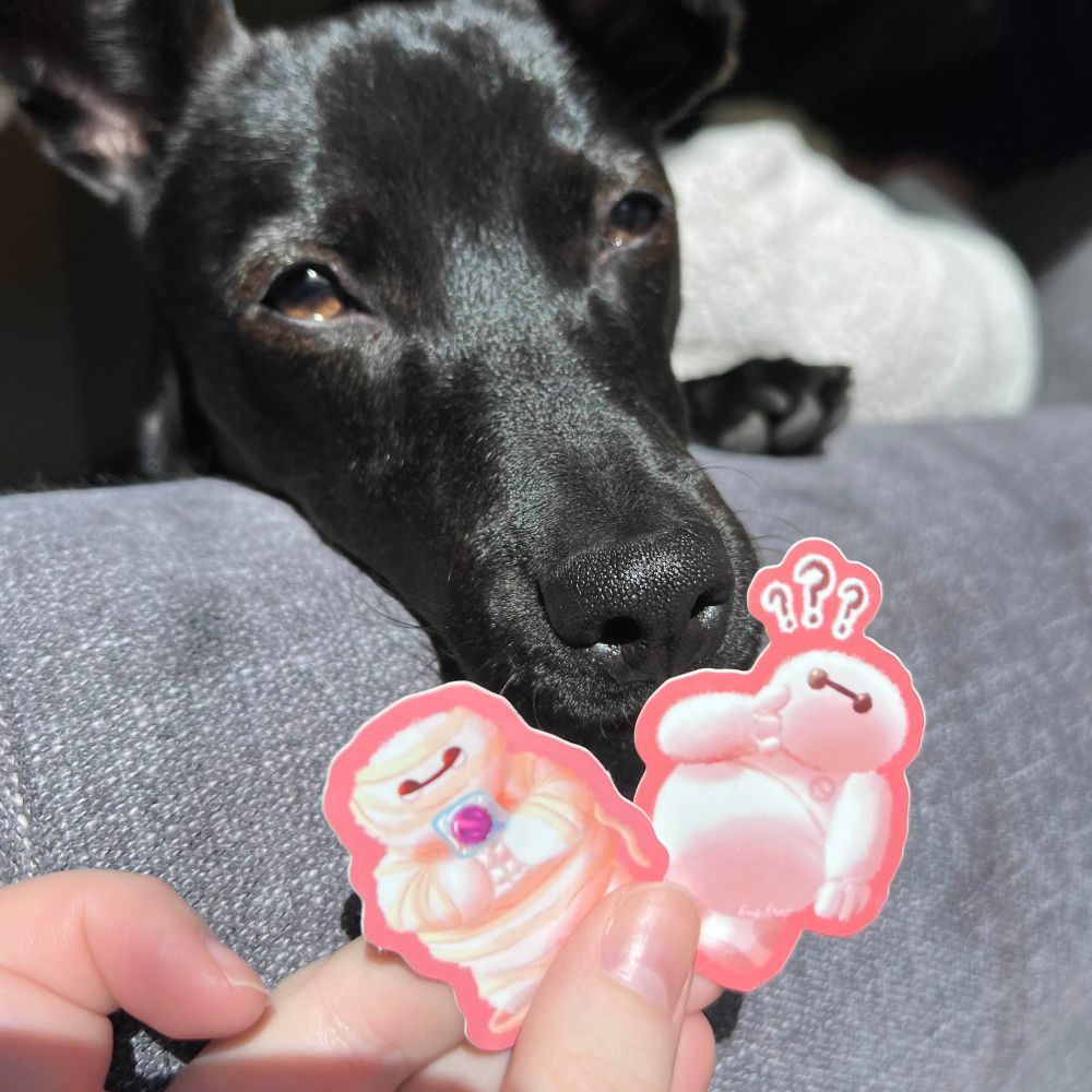 A photo two Baymax stickers, one looking lost and another wrapped in bandages holding a lollypop. Behind the stickers in a black dog.
