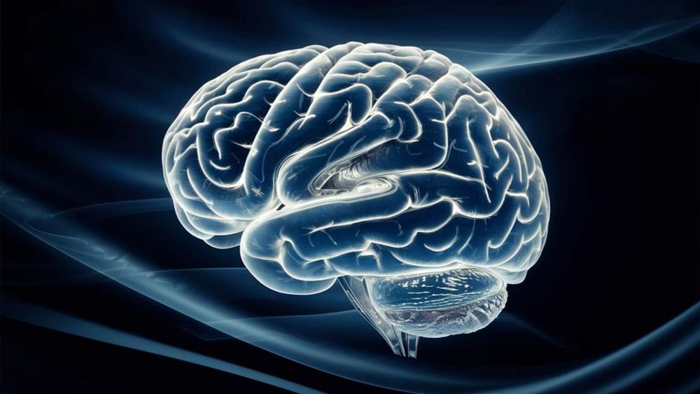 Decoding Brain Activity: Unraveling the Inner Workings of Thought