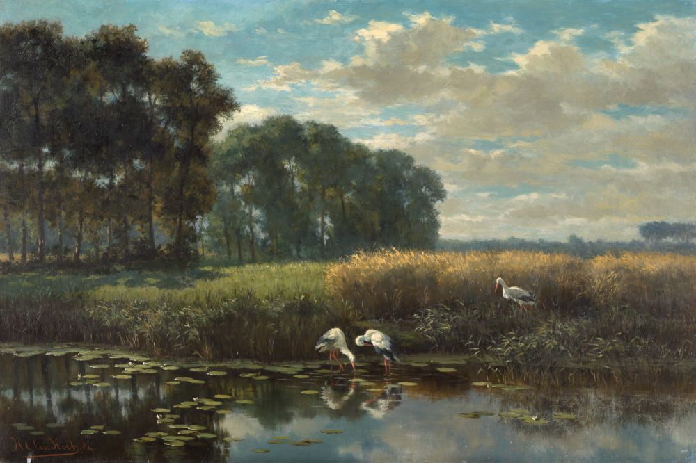 In the foreground a stretch of water with water lilies. At the edge of the water three storks against a backdrop of reeds. In the distance above the reeds a small line of greenery with on the far right a few trees poking out. To the left of the reeds a patch of grass. On the far left and in the centre background trees. Blue sky with clouds.